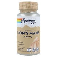 Fermented Lion's Mane