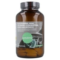 Glucosamina, Ácido Hialurónico, Condroitina, MSM