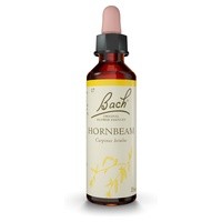 Flores de Bach Hornbeam