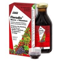Floradix Hierro (250ml)