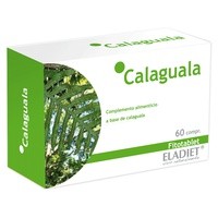 Calaguala