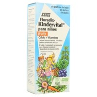 Floradix Kindervital fruity