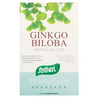 Ginkgo Biloba